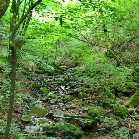 토요코 인 도쿄 후사-에키마에 히가시-구치 호텔 Hamura 외부 사진